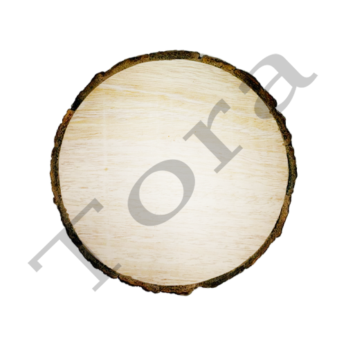 SC4011